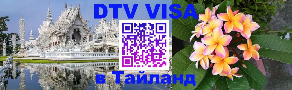 Оформление DTV визы под ключ: стоимость и тарифы, только загранпаспорт - Самара 